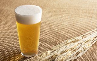 birra federbirra
